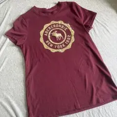 アバクロンビー　キッズ　ティシャツ