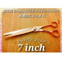 Item thumbnail for item 5ec769ef-056d-4a97-8e7b-e4c9439e3082