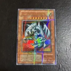 遊戯王　ブルーアイズトゥーンドラゴン　ウルパラ