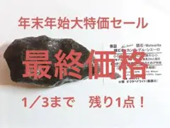 巨大 隕石 カンポデルシエロ 1357g