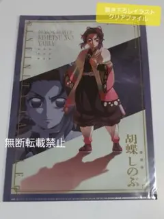 鬼滅の刃 胡蝶しのぶ 描き下ろしイラスト A4クリアファイル 無限城編