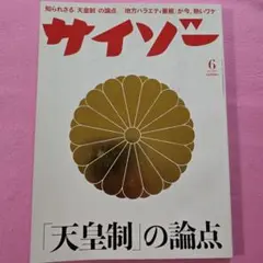サイゾー 2015 No.6