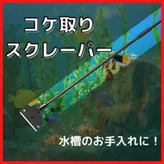 コケ取りスクレーパー 水槽 アクアリウム 軽量 スクイージー 掃除 苔取り