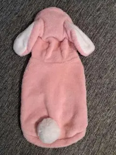 犬服 兎 2023年