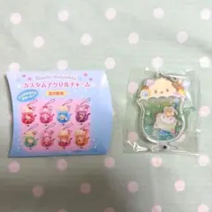サンリオ カスタムアクリルチャーム ポチャッコ