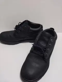 Item thumbnail for item 37a9a6c9-1bc5-41da-9287-161eb03bbedb