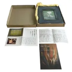 和紙工芸作家 山内一生 日展内閣総理大臣賞受賞 『 さぎ草 』Y5-0421 和紙工芸作家 山内一生 日展内閣総理大臣賞受賞 『 さぎ草 』Y5