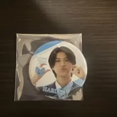 EBiDANmuseum 2025 ICEx 阿久根温世　ランダム缶バッジ