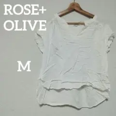 ROSE+OLIVE【M 】 Vネック 半袖シャツ ホワイト シンプル