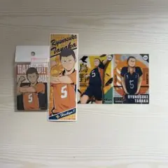 ハイキュー！！田中龍之介 カード ステッカー 缶バッジセット