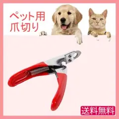 Item thumbnail for item a5a80f17-4b4a-4bb9-a803-7c870df12274
