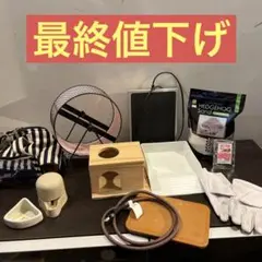 ハリネズミ 飼育セット