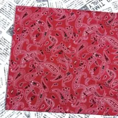 シーチング生地 ペイズリー 1m SALE