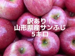 (7)たっぷり訳あり♡山形県産サンふじ♡5キロ以上♡