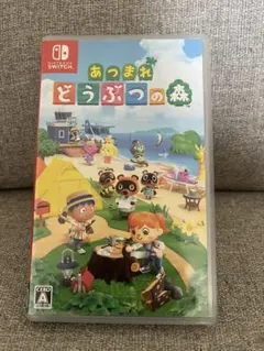 あつまれ どうぶつの森 Nintendo Switch