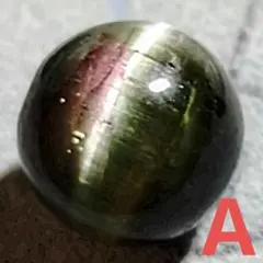 Item thumbnail for item 11266c20-86bd-4da1-976f-da197e43e1f2
