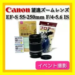 Item thumbnail for item d819eee5-98a0-43d1-bcf8-bbf608be01ad