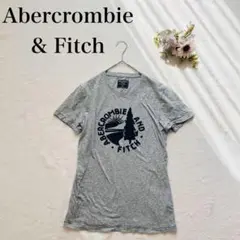 【アバクロンビーアンドフィッチ】半袖Tシャツ（XS）ビッグロゴ 英字 綿100％