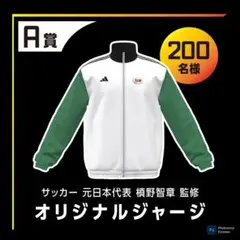 Item thumbnail for item 70359817-c5c5-43f3-81d0-2734747998c2