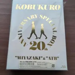 Item thumbnail for item 3d40a658-78bb-40a5-9f88-df8c624ef41e