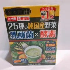 金の青汁 25種の純国産野菜 乳酸菌×酵素 60包