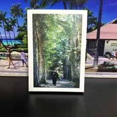 ⭐️散り椿　DVD