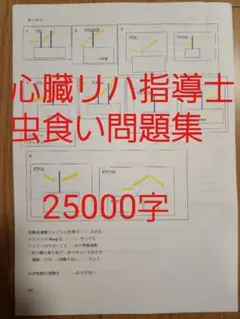 心臓リハビリテーション指導士　分野別問題集　赤シートで消えるテキストセット 61G6wsfX-kL._UF350,350_QL50_.jpg
