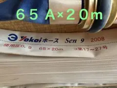 65AÃ20mãšã³ã€è£œã2008幎補