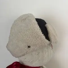 Item thumbnail for item 891b034d-1d91-45e8-8a1b-503a6b7efd99