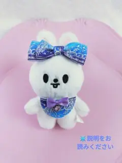 skzoo10cmぬい服リボン+スタイセット
