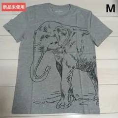 [新品]BANANA REPUBLIC 半袖Tシャツ M