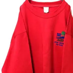 アンビル ロアノークパークレクレーション刺繍 スウェット レッド赤色XL古着
