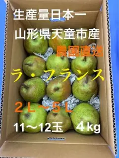 19.山形県天童市産ラ・フランス訳あり2〜5Lサイズ