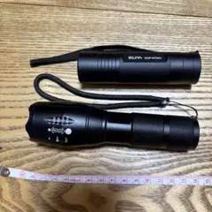 ELPA DOP-EP264 懐中電灯
