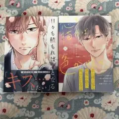 日々も積もれば恋となる　恋を描けば色が咲く　紺しょーた　商業BL