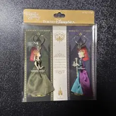 ファンタジースプリングス 東京ディズニーシー アナ雪 キーホルダーセット