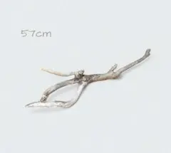 Item thumbnail for item 6555d5fe-4f34-4185-86ff-74b9e13d2d4a