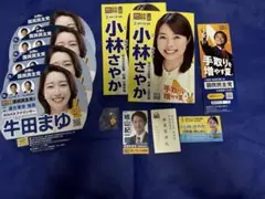 国民民主党　ピンバッジ　名刺　他