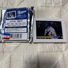 中日ドラゴンズ マルチフレーム 2025 木下拓哉