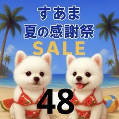 ✨夏の感謝祭セール✨パネル【Ｎｏ．48】