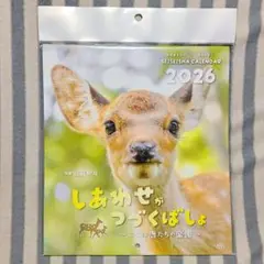 Item thumbnail for item cf9bcb15-578d-46d9-b138-1a52f89a029a