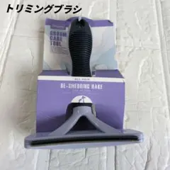 Item thumbnail for item ef7f257f-ce23-4bd5-b559-0a64b46956eb