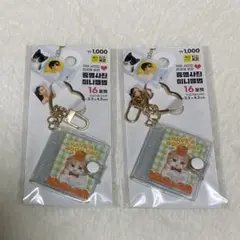 Item thumbnail for item 2f0f5b6f-eac3-4352-9b42-24db266fa4ee