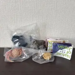 4点セット　ネイチャーテクニカラー　03 いきもの　フィギュア