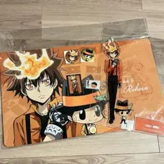 家庭教師ヒットマンREBORN! リボーン　くじメイト　綱吉　アクリルスタンド