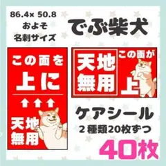 【でぶ柴犬】ケアシール　注意喚起　天地無用　40枚 シンプル　動物　犬