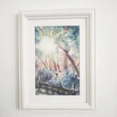 癒しの水彩画905 光