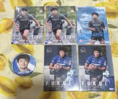 ワイルドナイツ　福井翔大
