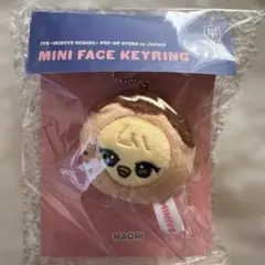 IVE minive レイ　ナオリ　ミニフェイスキーリング たこ焼き　日本限定