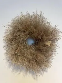 Item thumbnail for item aecc43cf-1867-47e2-8d3b-a96b2b177630